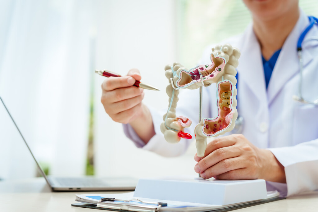 partes intestino grosso