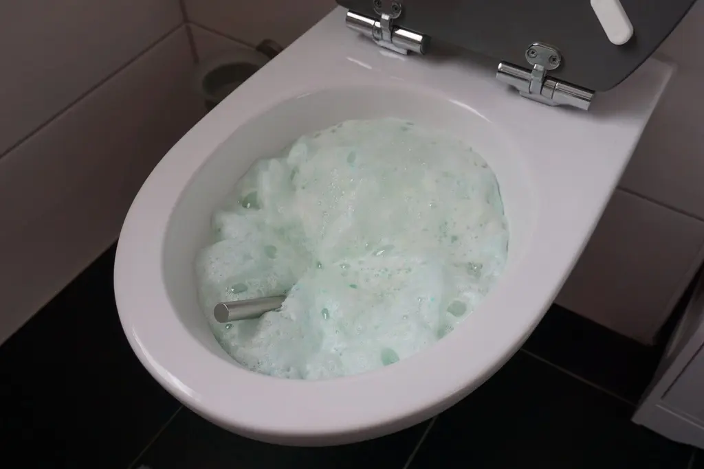 diarreia escura e liquida Tipos de diarreia aguda: quais são e por que você precisa saber?