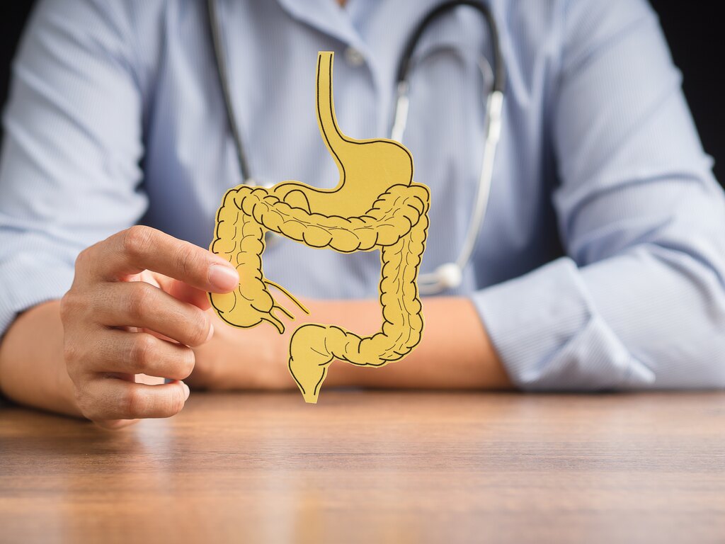 Médico de jaleco segurando ilustração em papel do sistema digestivo humano, representando o diagnóstico de diferentes tipos de diarreia.