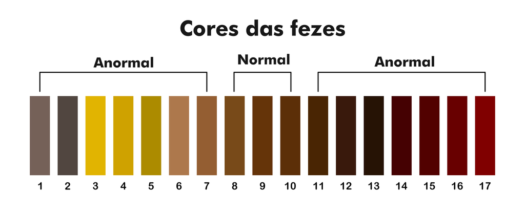 Infográfico 'Cores das fezes' mostrando escala numerada de 1 a 17 que classifica tonalidades normais (marrom) e anormais para a saúde intestinal.