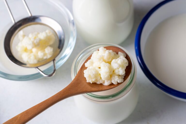 Kefir e alimentos fermentados ricos em bactérias benéficas que auxiliam na digestão e fortalecem o sistema imunológico.