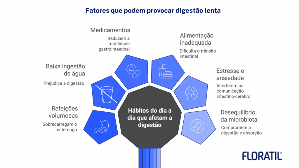 Infográfico com fatores que afetam o trânsito intestinal, microbiota e funcionamento digestivo no dia a dia.